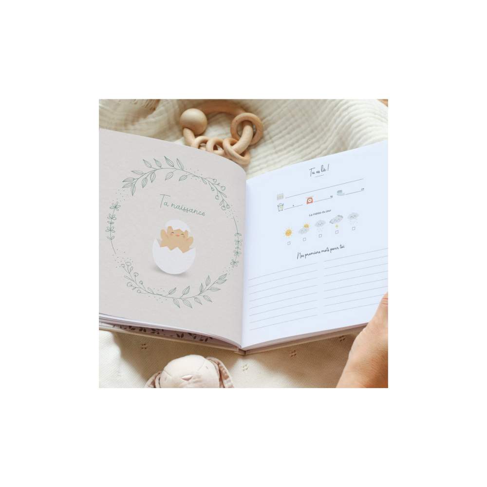 Livre Souvenirs de bébé première année - Zü - Lachouettemauve
